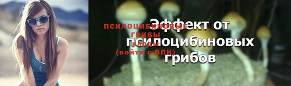 прущая мука Кулебаки
