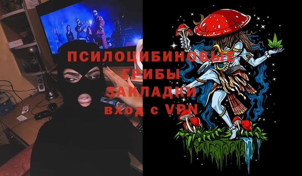 прущая мука Кулебаки