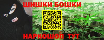 шишки Ирбит