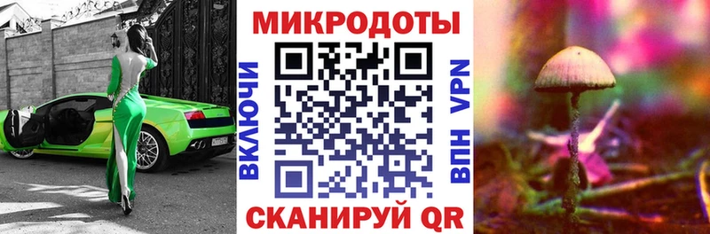 маркетплейс официальный сайт  дарнет шоп  Хабаровск  Псилоцибиновые грибы прущие грибы  блэк спрут как зайти 