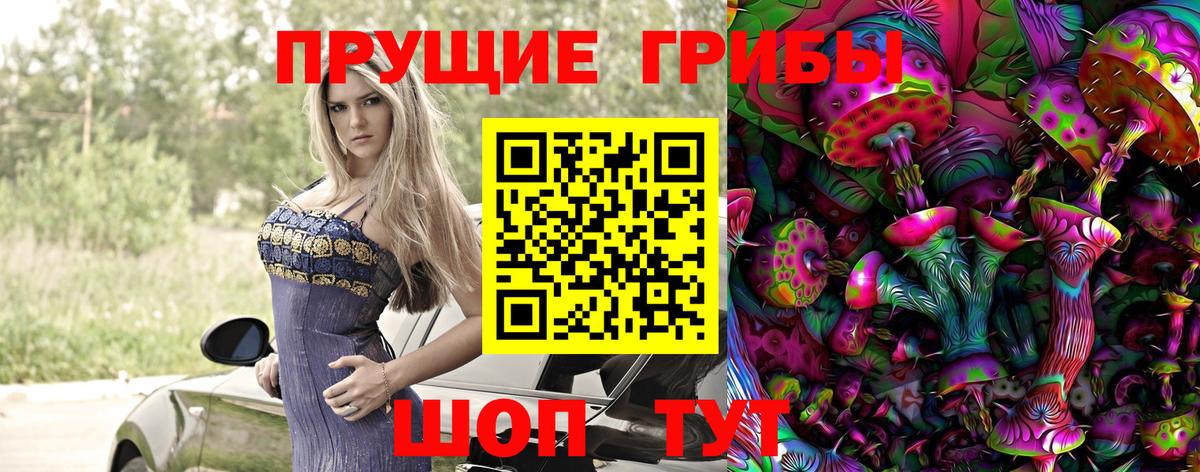 Галлюциногенные грибы Psilocybine cubensis Хабаровск