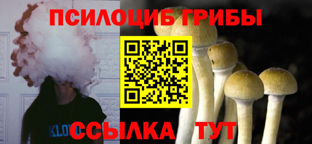 Галлюциногенные грибы Magic Shrooms  продажа наркотиков  Хабаровск  Псилоцибиновые грибы Magic Shrooms 