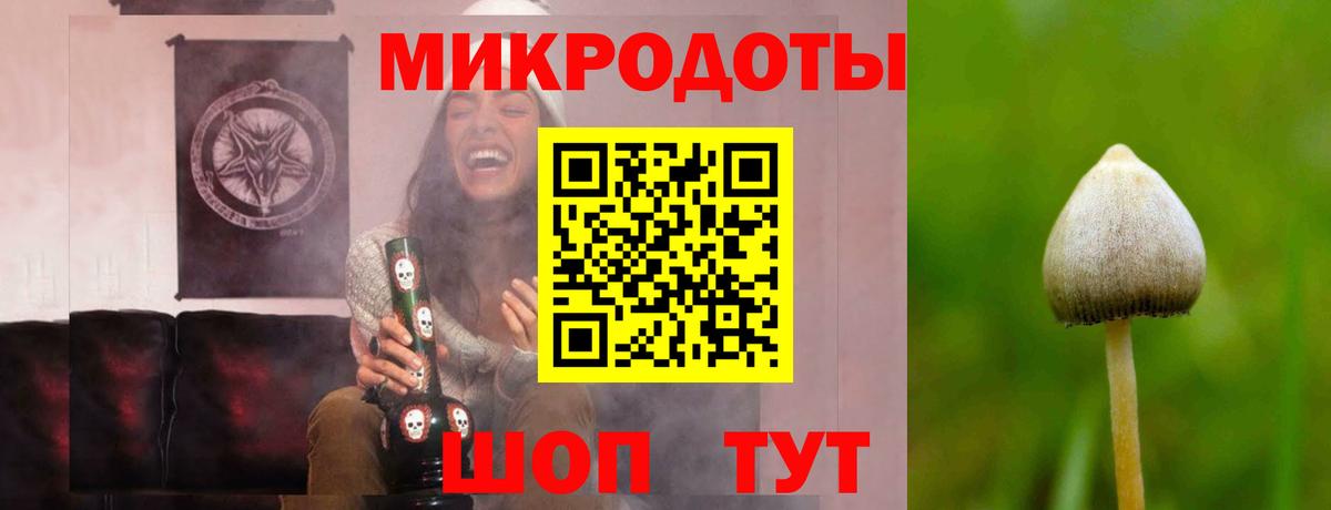 Хабаровск  Галлюциногенные грибы прущие грибы  Галлюциногенные грибы прущие грибы  Вход с VPN 